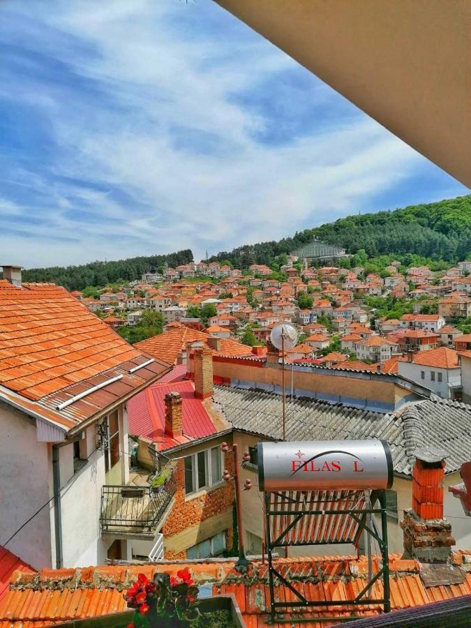 ***Vila Tose D. Krusevo Kruševo Exterior foto